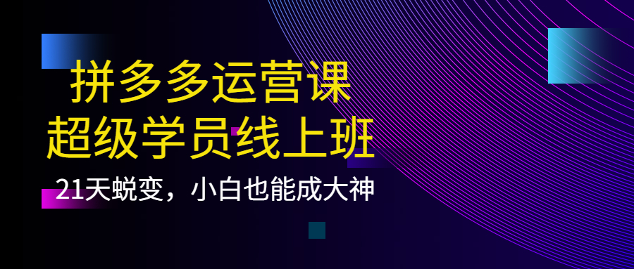 拼多多运营课：超级学员线上班，21天蜕变，小白也能成大神搞钱吧-网创项目资源站-副业项目-创业项目-搞钱项目搞钱吧