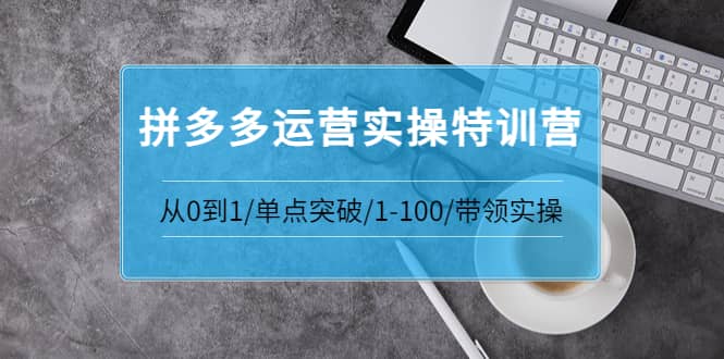 拼多多运营实操特训营：从0到1/单点突破/1-100/带领实操 价值2980元搞钱吧-网创项目资源站-副业项目-创业项目-搞钱项目搞钱吧