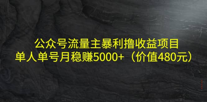 公众号流量主暴利撸收益项目，单人单号月稳赚5000+（价值480元）搞钱吧-网创项目资源站-副业项目-创业项目-搞钱项目搞钱吧