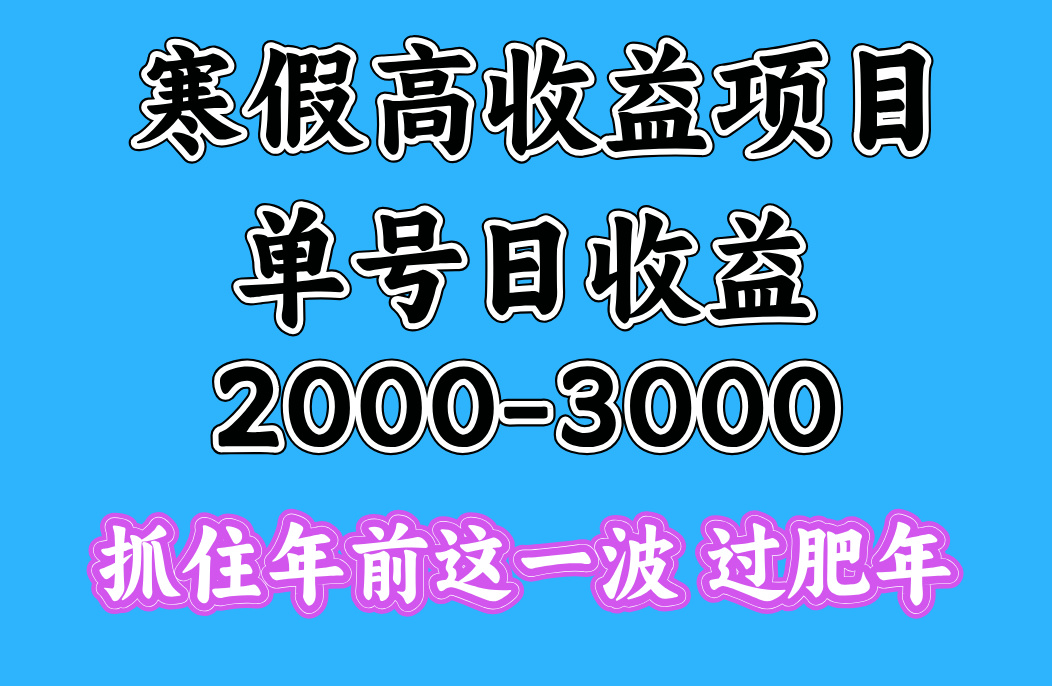 寒假期间一天收益2000-3000+，抓住年前这一波搞钱吧-网创项目资源站-副业项目-创业项目-搞钱项目搞钱吧