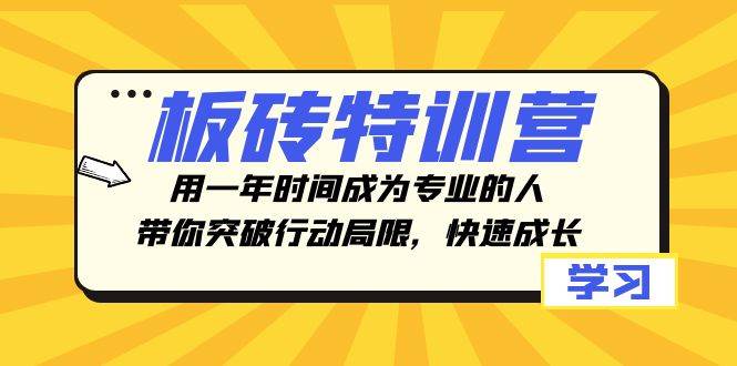 板砖特训营，用一年时间成为专业的人，带你突破行动局限，快速成长搞钱吧-网创项目资源站-副业项目-创业项目-搞钱项目搞钱吧