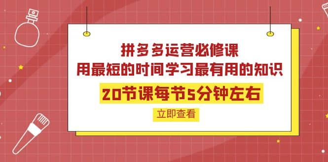 拼多多运营必修课：20节课每节5分钟左右，用最短的时间学习最有用的知识搞钱吧-网创项目资源站-副业项目-创业项目-搞钱项目搞钱吧