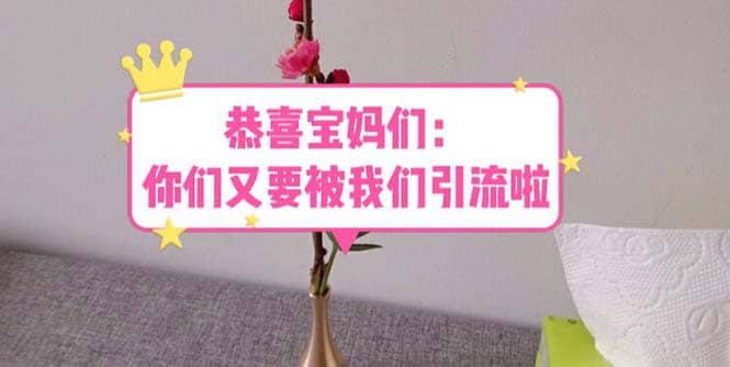 恭喜宝妈们：你们又要被我们引流了（教程+222g资料）搞钱吧-网创项目资源站-副业项目-创业项目-搞钱项目搞钱吧