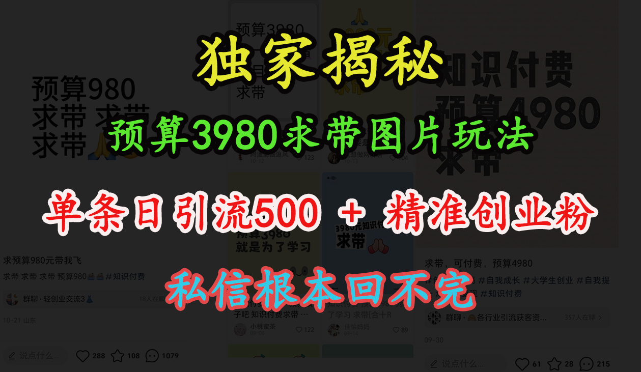 “小红书”预算3980求带 图片玩法，单条日引流500+精准创业粉，私信根本回不完搞钱吧-网创项目资源站-副业项目-创业项目-搞钱项目搞钱吧
