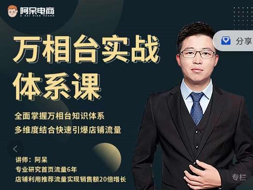阿呆-万相台实战体系课，帮您全面掌握万相台知识体系搞钱吧-网创项目资源站-副业项目-创业项目-搞钱项目搞钱吧