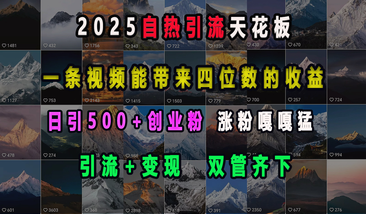 2025自热引流天花板，一条视频能带来四位数的收益，引流+变现双管齐下，日引500+创业粉，涨粉嘎嘎猛搞钱吧-网创项目资源站-副业项目-创业项目-搞钱项目搞钱吧