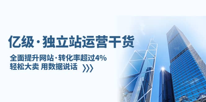 独立站运营干货：全面提升网站·转化率超过4%，轻松大卖 用数据说话搞钱吧-网创项目资源站-副业项目-创业项目-搞钱项目搞钱吧
