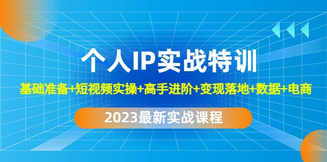 2023个人IP实战特训：基础准备+短视频实操+高手进阶+变现落地+数据+电商搞钱吧-网创项目资源站-副业项目-创业项目-搞钱项目搞钱吧