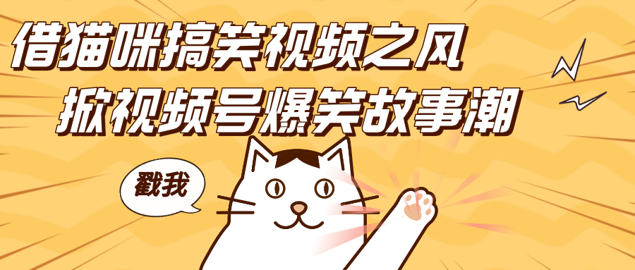借猫咪搞笑视频之风，掀视频号爆笑故事潮，轻松日赚四位数，开启无门槛赚钱新体验！搞钱吧-网创项目资源站-副业项目-创业项目-搞钱项目搞钱吧