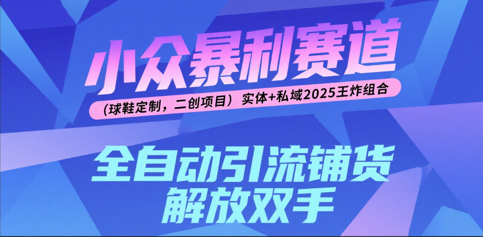 楠—小众暴利赛道（球鞋定制，二创项目）实体+私域2025王炸组合搞钱吧-网创项目资源站-副业项目-创业项目-搞钱项目搞钱吧
