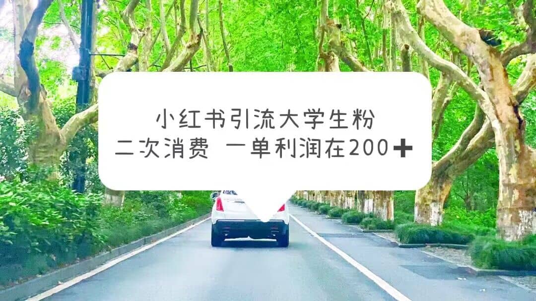 小红书引流大学生粉，变现项目，一单利润在200+（教程+资源）搞钱吧-网创项目资源站-副业项目-创业项目-搞钱项目搞钱吧