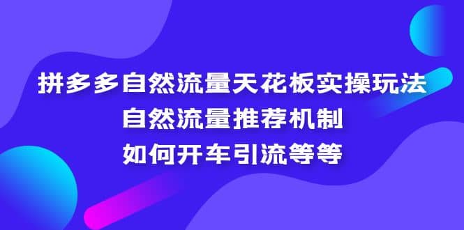 拼多多自然流量天花板实操玩法：自然流量推荐机制，如何开车引流等等搞钱吧-网创项目资源站-副业项目-创业项目-搞钱项目搞钱吧