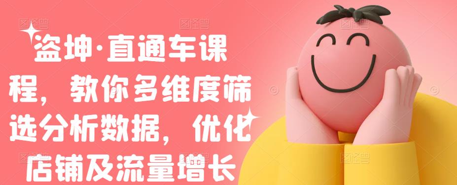 盗坤·直通车课程，教你多维度筛选分析数据，优化店铺及流量增长搞钱吧-网创项目资源站-副业项目-创业项目-搞钱项目搞钱吧