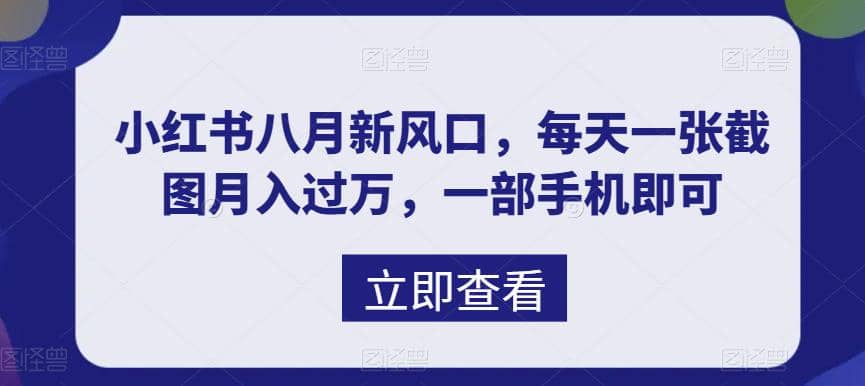 八月新风口，小红书虚拟项目一天收入1000+，实战揭秘搞钱吧-网创项目资源站-副业项目-创业项目-搞钱项目搞钱吧