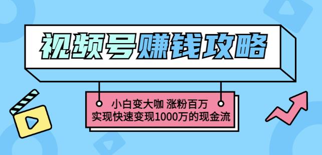 玩转微信视频号赚钱：小白变大咖涨粉百万实现快速变现1000万的现金流搞钱吧-网创项目资源站-副业项目-创业项目-搞钱项目搞钱吧