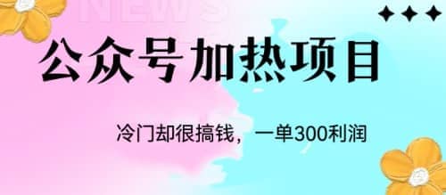 冷门公众号加热项目，一单利润300+搞钱吧-网创项目资源站-副业项目-创业项目-搞钱项目搞钱吧