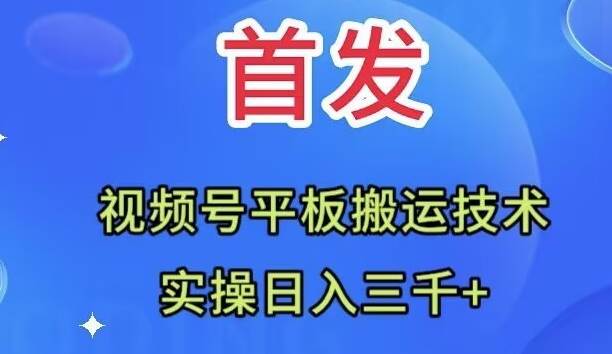 全网首发：视频号平板搬运技术，实操日入三千＋搞钱吧-网创项目资源站-副业项目-创业项目-搞钱项目搞钱吧