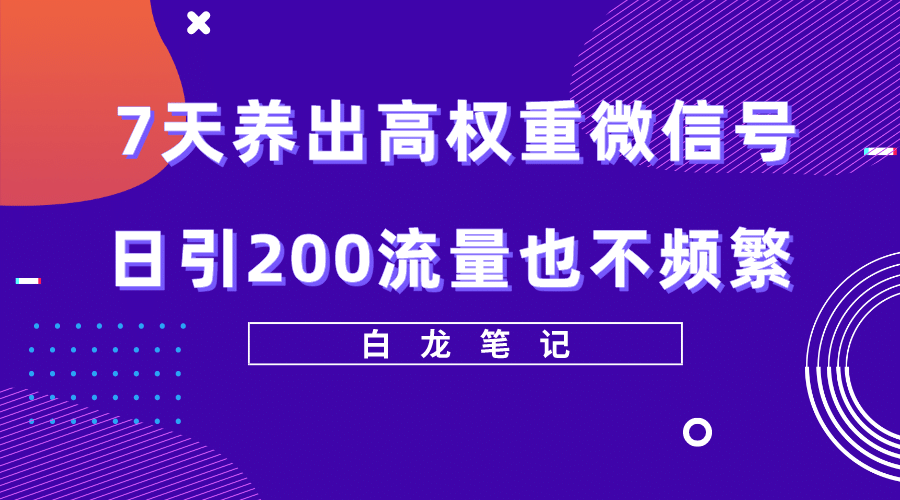 7天养出高权重微信号，日引200流量也不频繁，方法价值3680元搞钱吧-网创项目资源站-副业项目-创业项目-搞钱项目搞钱吧