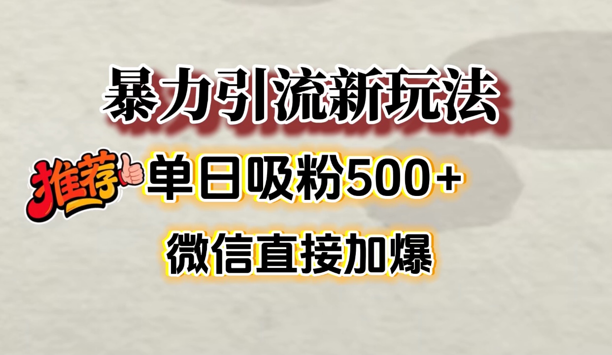 微信加爆的引流超级方法，单日吸粉500➕搞钱吧-网创项目资源站-副业项目-创业项目-搞钱项目搞钱吧