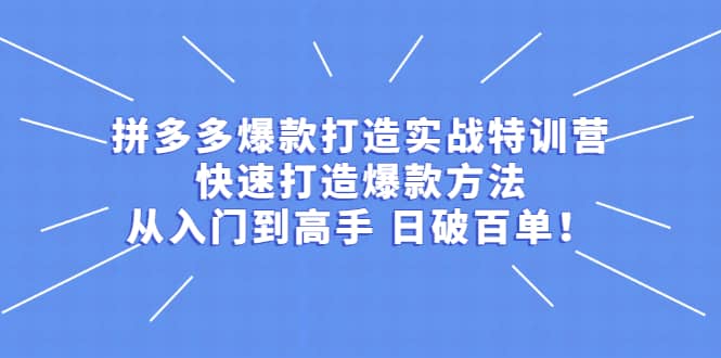 拼多多爆款打造实战特训营：快速打造爆款方法，从入门到高手 日破百单搞钱吧-网创项目资源站-副业项目-创业项目-搞钱项目搞钱吧