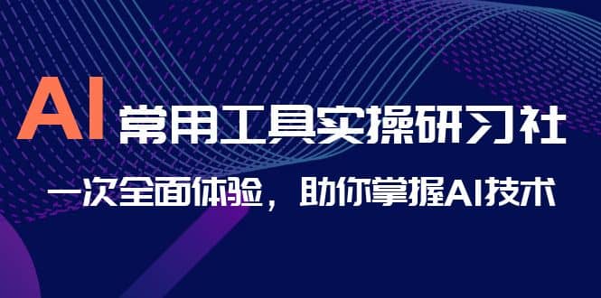 AI-常用工具实操研习社，一次全面体验，助你掌握AI技术搞钱吧-网创项目资源站-副业项目-创业项目-搞钱项目搞钱吧
