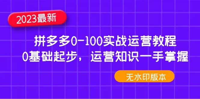 2023拼多多0-100实战运营教程，0基础起步，运营知识一手掌握（无水印）搞钱吧-网创项目资源站-副业项目-创业项目-搞钱项目搞钱吧