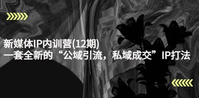 新媒体IP内训营(12期)，一套全新的“公域引流，私域成交”IP打法，直接带走搞钱吧-网创项目资源站-副业项目-创业项目-搞钱项目搞钱吧