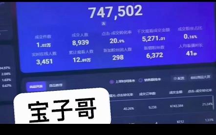 宝子哥无人直播，半无人直播，Obs+伴侣玩法，快速打标签+养鱼搞钱吧-网创项目资源站-副业项目-创业项目-搞钱项目搞钱吧