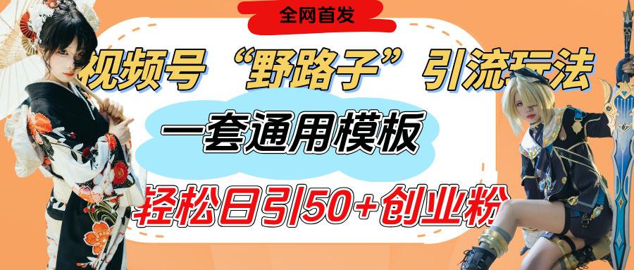视频号“野路子”玩法，评论区疯狂截流，一套模板单日单号引流50+创业粉搞钱吧-网创项目资源站-副业项目-创业项目-搞钱项目搞钱吧