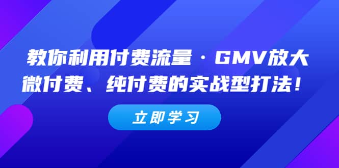 教你利用付费流量·GMV放大，微付费、纯付费的实战型打法搞钱吧-网创项目资源站-副业项目-创业项目-搞钱项目搞钱吧