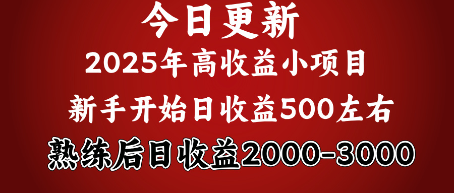 2025开年好项目，新手日收益500+ 熟练掌握后，日收益平均2000多搞钱吧-网创项目资源站-副业项目-创业项目-搞钱项目搞钱吧