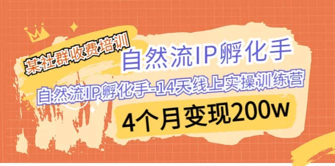 某社群收费培训：自然流IP 孵化手-14天线上实操训练营 4个月变现200w搞钱吧-网创项目资源站-副业项目-创业项目-搞钱项目搞钱吧