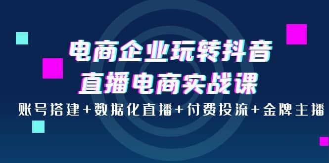 电商企业玩转抖音直播电商实战课：账号搭建+数据化直播+付费投流+金牌主播搞钱吧-网创项目资源站-副业项目-创业项目-搞钱项目搞钱吧