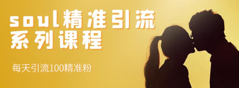 soul精准引流系列课程，每天引流100精准粉搞钱吧-网创项目资源站-副业项目-创业项目-搞钱项目搞钱吧