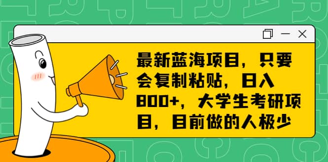最新蓝海项目，只要会复制粘贴，日入800+，大学生考研项目，目前做的人极少搞钱吧-网创项目资源站-副业项目-创业项目-搞钱项目搞钱吧