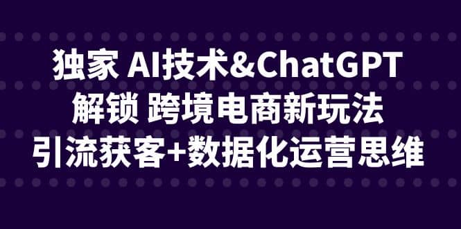 独家 AI技术ChatGPT解锁 跨境电商新玩法，引流获客+数据化运营思维搞钱吧-网创项目资源站-副业项目-创业项目-搞钱项目搞钱吧