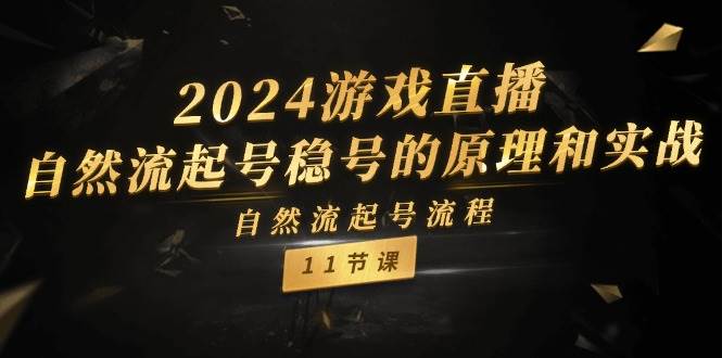 2024游戏直播-自然流起号稳号的原理和实战，自然流起号流程（11节）搞钱吧-网创项目资源站-副业项目-创业项目-搞钱项目搞钱吧