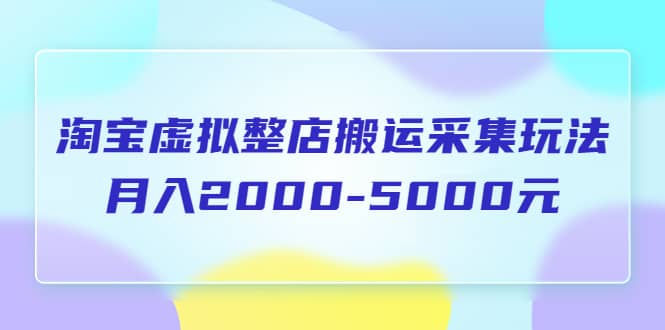 淘宝虚拟整店搬运采集玩法分享课：月入2000-5000元（5节课）搞钱吧-网创项目资源站-副业项目-创业项目-搞钱项目搞钱吧