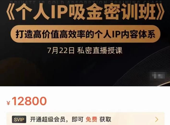 个人IP吸金密训班，打造高价值高效率的个人IP内容体系（价值12800元）搞钱吧-网创项目资源站-副业项目-创业项目-搞钱项目搞钱吧