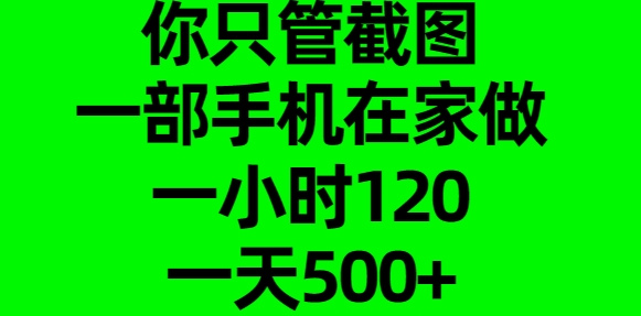 你只管截图，一部手机在家做，一小时120，一天500+搞钱吧-网创项目资源站-副业项目-创业项目-搞钱项目搞钱吧