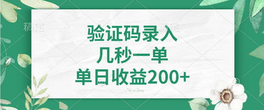 验证码录入，几秒一单，单日收益200+搞钱吧-网创项目资源站-副业项目-创业项目-搞钱项目搞钱吧
