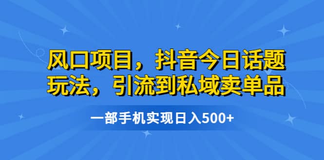 风口项目，抖音今日话题玩法，引流到私域卖单品，一部手机实现日入500+搞钱吧-网创项目资源站-副业项目-创业项目-搞钱项目搞钱吧
