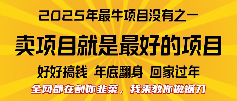 全网都在割你韭菜，我来教你做镰刀。卖项目就是最好的项目，2025年最牛互联网项目搞钱吧-网创项目资源站-副业项目-创业项目-搞钱项目搞钱吧