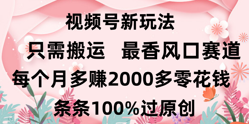日入2000+，条条100%过原创，视频号最香风口赛道，小白轻松上手搞钱吧-网创项目资源站-副业项目-创业项目-搞钱项目搞钱吧