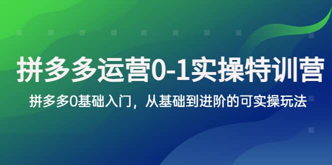 拼多多-运营0-1实操训练营，拼多多0基础入门，从基础到进阶的可实操玩法搞钱吧-网创项目资源站-副业项目-创业项目-搞钱项目搞钱吧