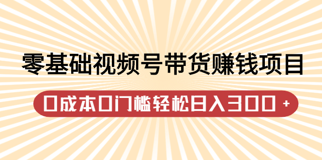 零基础视频号带货赚钱项目，0成本0门槛轻松日入300+【视频教程】搞钱吧-网创项目资源站-副业项目-创业项目-搞钱项目搞钱吧