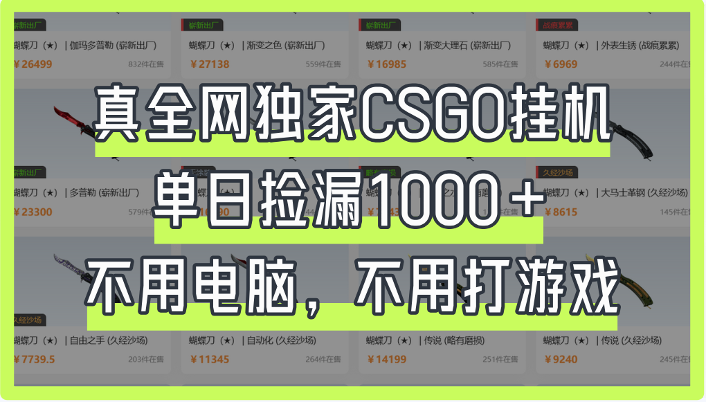 真全网独家CSGO挂机，单日捡漏1000+搞钱吧-网创项目资源站-副业项目-创业项目-搞钱项目搞钱吧
