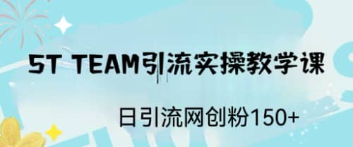 ST TEAM引流实操课，日引流网创粉100+搞钱吧-网创项目资源站-副业项目-创业项目-搞钱项目搞钱吧