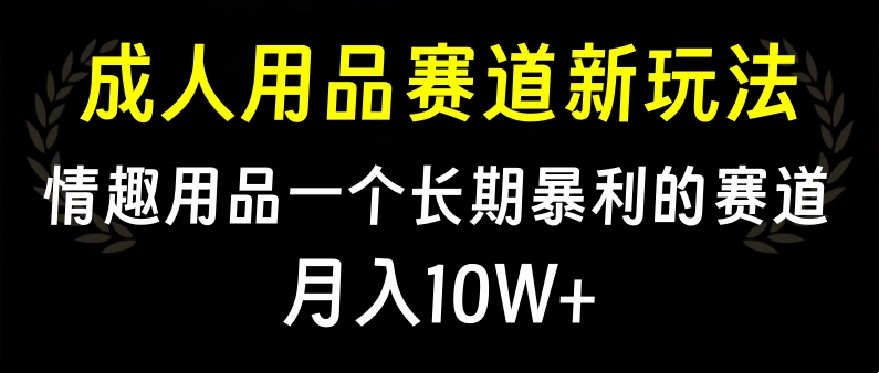 大人用品赛道新玩法，情趣用品一个长期暴利的赛道，月入10W+搞钱吧-网创项目资源站-副业项目-创业项目-搞钱项目搞钱吧