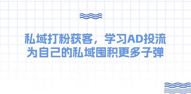 某收费课：私域打粉获客，学习AD投流，为自己的私域囤积更多子弹搞钱吧-网创项目资源站-副业项目-创业项目-搞钱项目搞钱吧